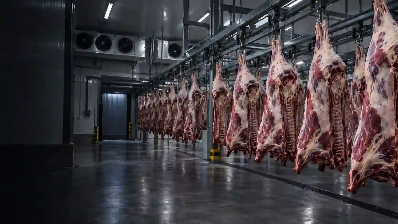 Câmara de resfriamento frigorífico com carcaças penduradas em trilhagem — contexto de aplicação do Sistema Quebra Zero